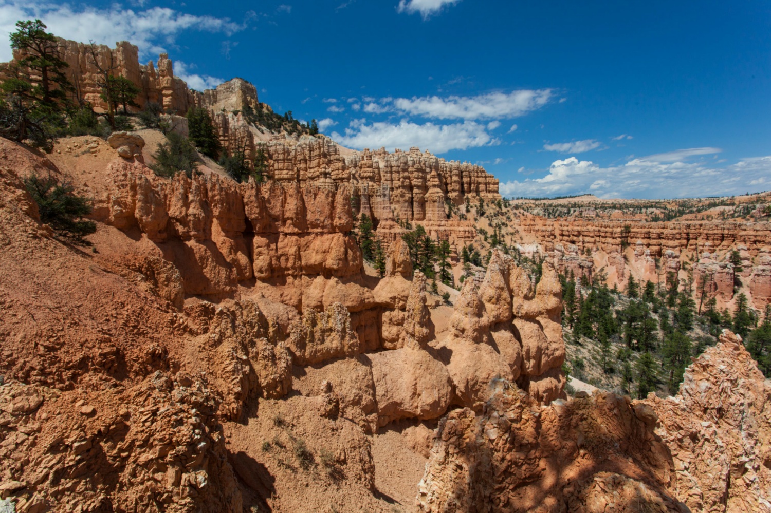 USA_Bryce Canyon_233